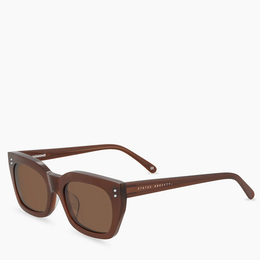 Brown sunglasses shown from a three-quarter front angle with brown lenses on a white background.