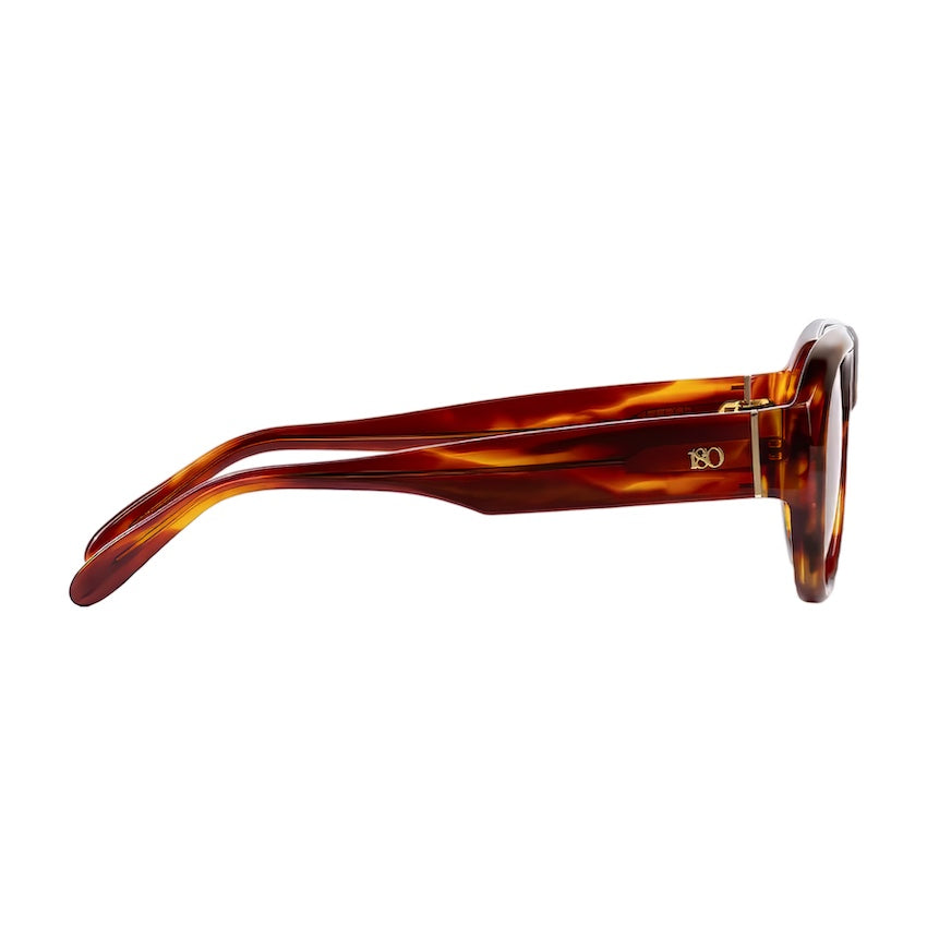 Side profile of the Havana sunglasses showing the slim temples and curved full-rim front.