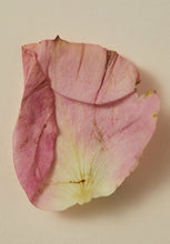 Ayu Perfume Oil 30ml - Smoking Rose