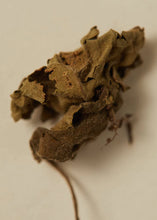 Ayu Perfume Oil 30ml - Smoking Rose