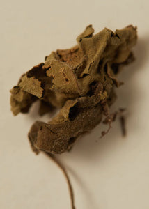 Ayu Perfume Oil 30ml - Smoking Rose