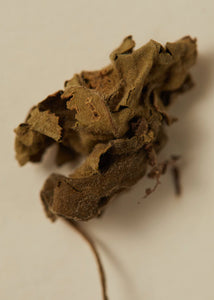 Ayu Perfume Oil 15ml - Smoking Rose
