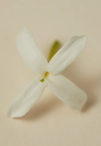 Ayu Perfume Oil 30ml - Souq