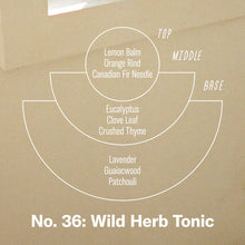 No. 36 Wild Herb Tonic - Incense Sticks