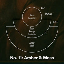 No. 11 Amber & Moss - Reed Diffuser