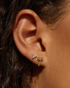 Arms of Eve Palm Springs Studs in Gold — radiate those Palm Springs vacay vibes with our Palm Springs Studs.