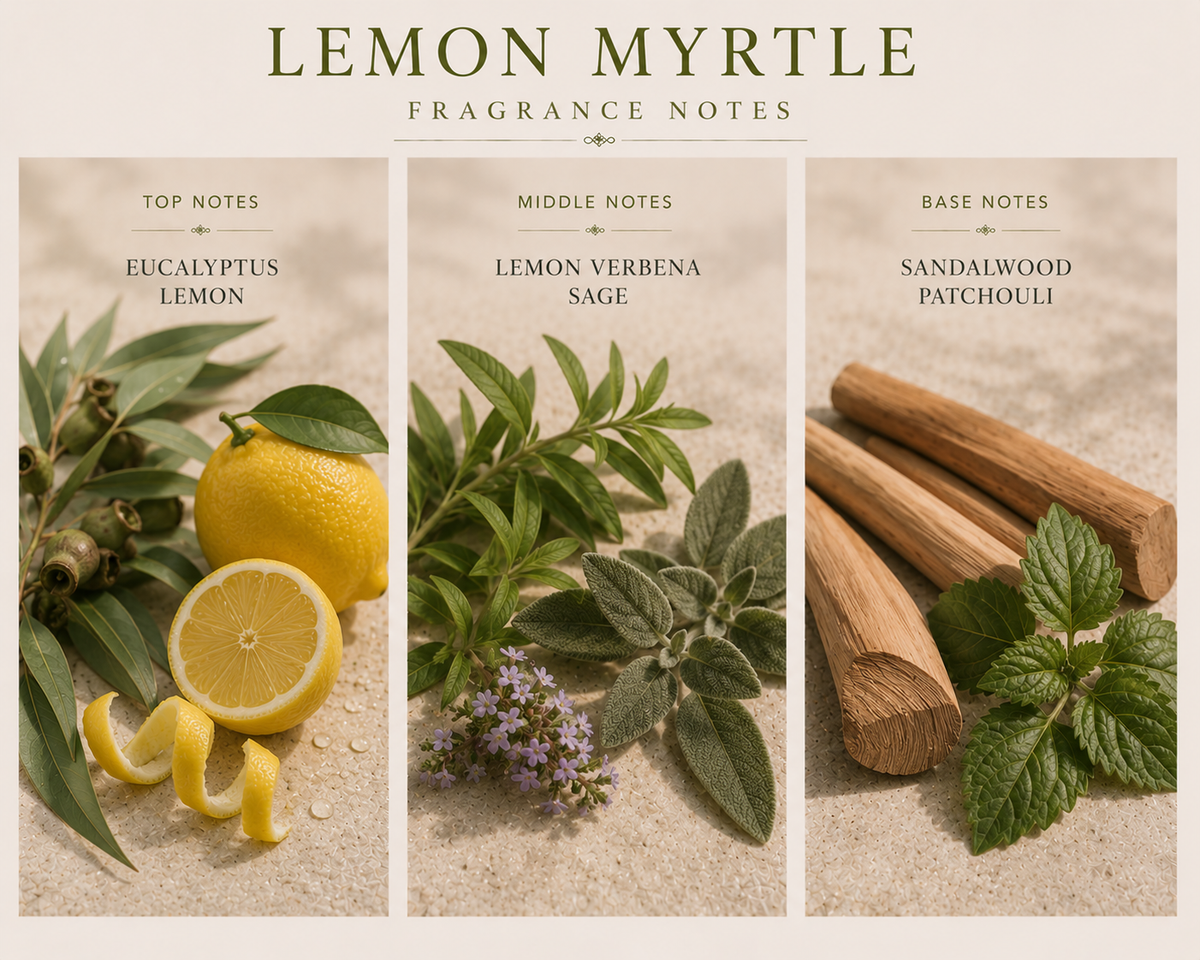 Lemon Myrtle Soy Candle