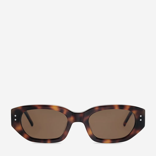 Brown tortoiseshell sunglasses with rectangular frames and brown lenses on a white background.